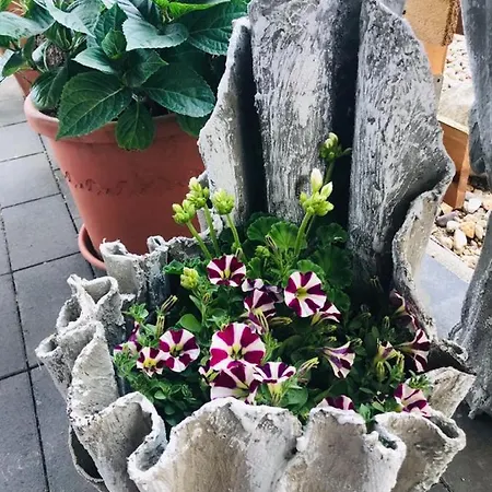 Pensionlien קותן