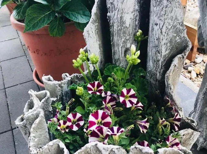 Pensionlien Koethen (Anhalt)